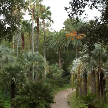 Village Rosselba Le Palme 3* Portoferraio