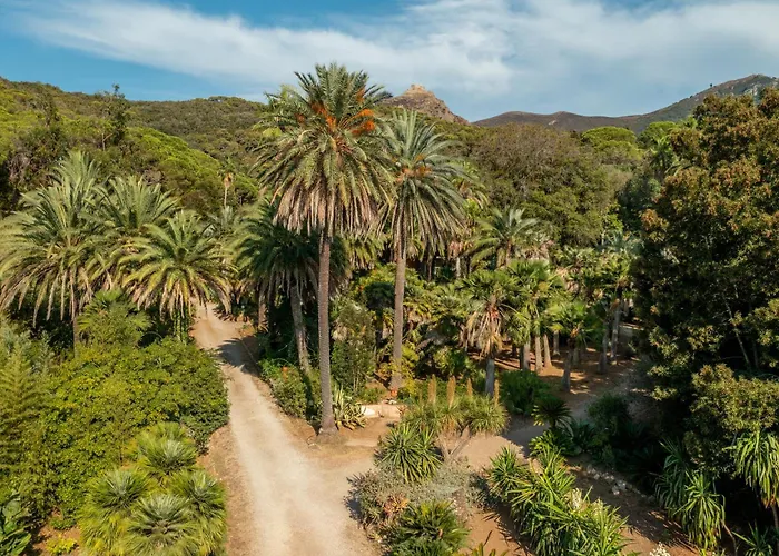 리조트 Village Rosselba Le Palme 3*